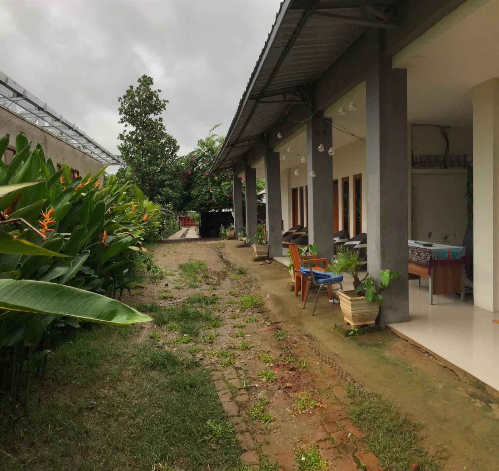 Wl Guesthouse Лабуан-Бахо Номер фото